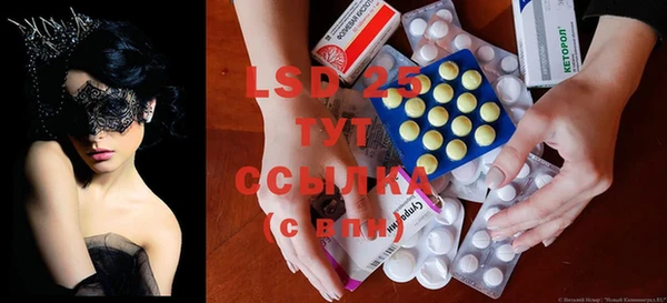 спиды Липки