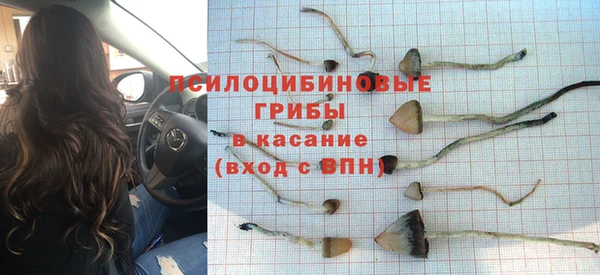 спиды Липки