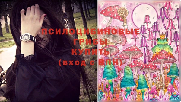 ECSTASY Лихославль