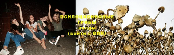 ECSTASY Лихославль