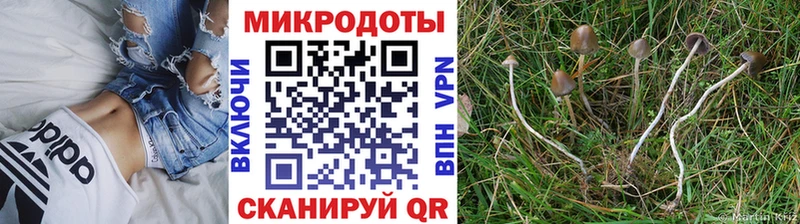 МЕГА зеркало  Муравленко  Псилоцибиновые грибы Psilocybe 
