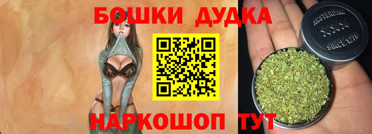 Муравленко  Бошки Шишки планчик  Конопля конопля  Канабис сатива  Вход с VPN 